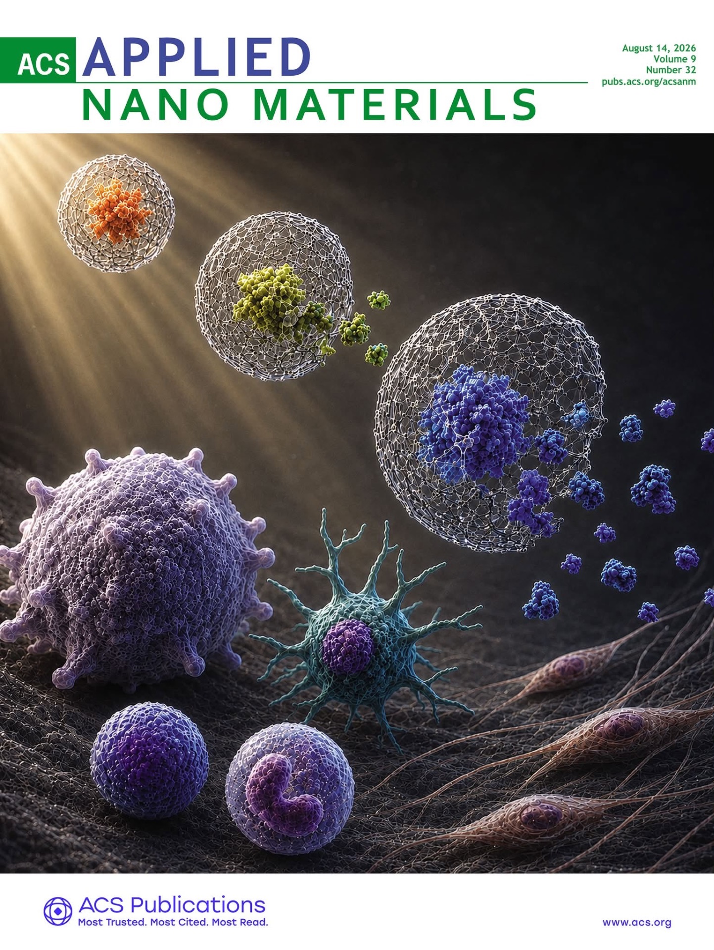 Immune-Phase-Aware Protein Delivery via Polymeric Nanomedicines for Tissue Regeneration. -2026 ACS Applied Nano Materials-